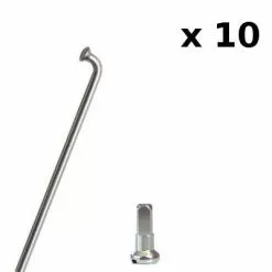 Brandless Kit De Rayons Et écrous Pour Roue 20 Pouces Vélo X10