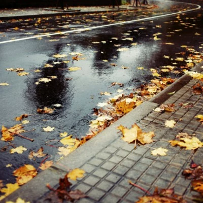 Pneu Vélo Michelin StarGrip 700 X 40C Réflecto 5 Pneu Vélo Michelin StarGrip 700 X 40C Réflecto – Image 5